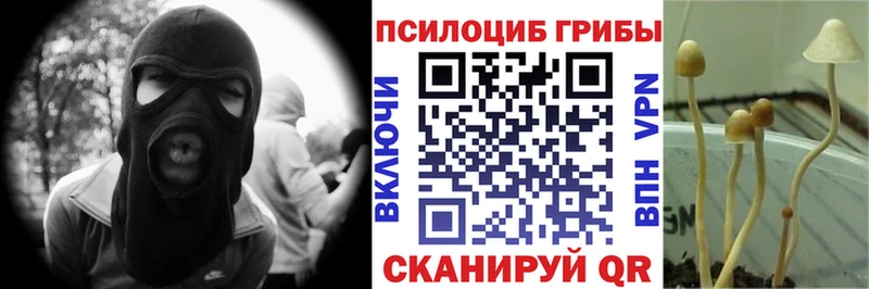 Купить  Спас-Деменск  Псилоцибиновые грибы мухоморы 